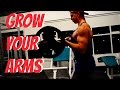 Workout Tutorial #2 || Biceps || MAKE THEM GROW || Teenage Bodybuilding