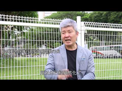 關心動物福利 動督盟從行政監督做起