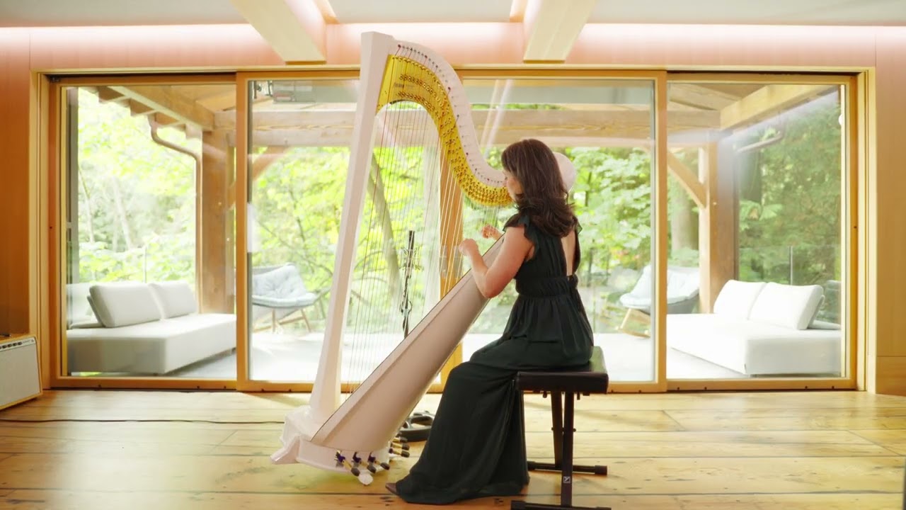 Promotional video thumbnail 3 for AureliHarp