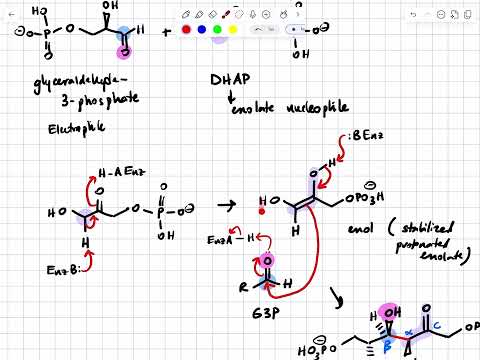 W2026 352 L16 Checkpoint 18.3 Feb 13