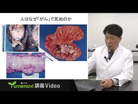 【夢ナビ講義動画／臨床検査学科 森誠司教授】がん転移のメカニズムを知る