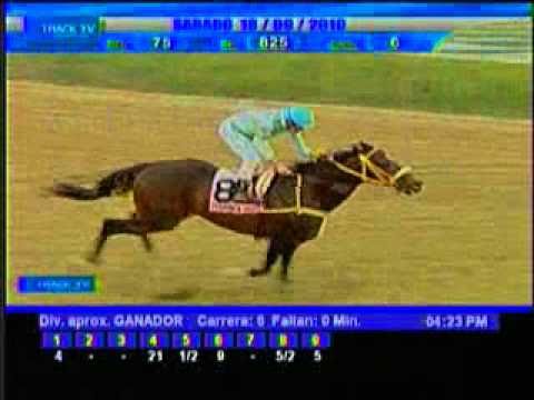 Resumen Sábado, 18 de Septiembre de 2010 - La Rinconada