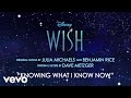 Knowing What I Know Now From Wish Instrumental Audio Only