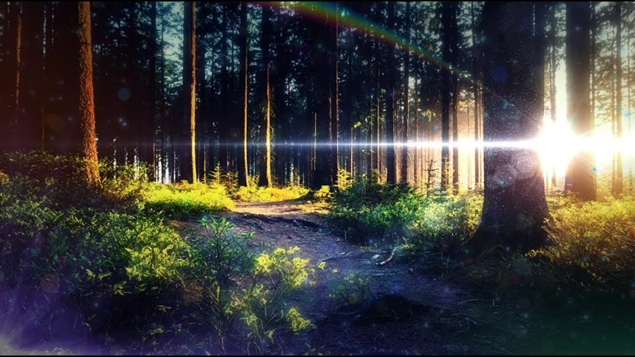 WAA!!!! / 初音ミク, 鏡音リン