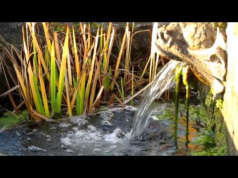 Canon Powershot SX160 IS Sample Video 2