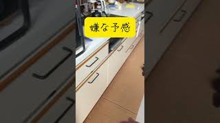 【パパの予感】#shorts #シニア犬 #シニア犬との暮らし #16歳犬 #toypoodle #mon #紋 #愛娘