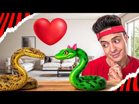 I FOUND A GIRLFRIEND FOR OUR NOODLE SNAKE!