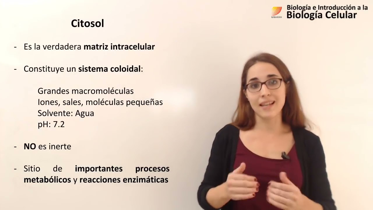 29. Biología celular. Citosol