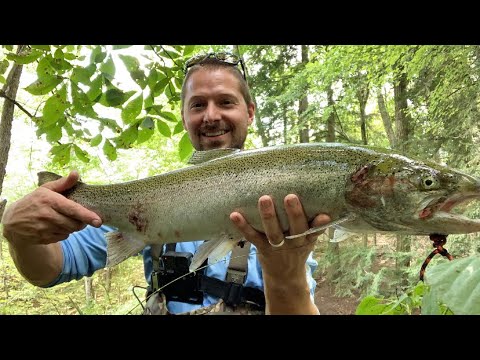 Late SUMMER STEELHEAD tiny creek bobber DOWNS?!?!