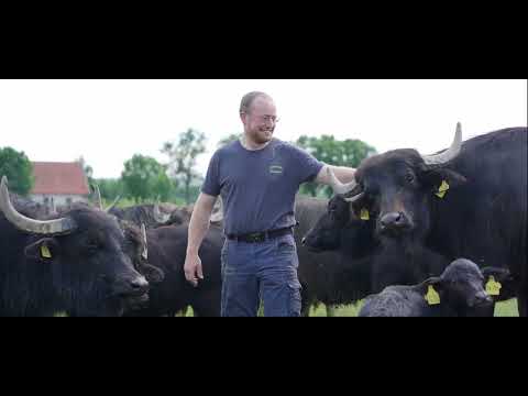 Imagefilm Stadt Land Fluss 03 11 22