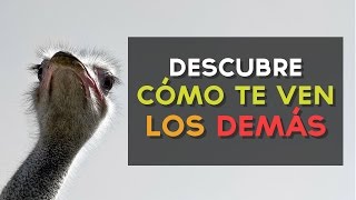 Como te ven los demás? No te pierdas el test! ↠↠ ¡No te olvides de suscribirte para no perderte ningún test!