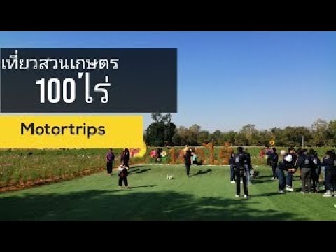 คลิกเพื่อดูคลิปวิดีโอ