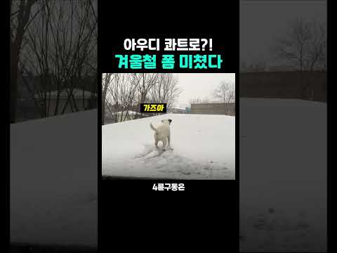 4륜구동 폼 미쳤다 ㅋㅋㅋ