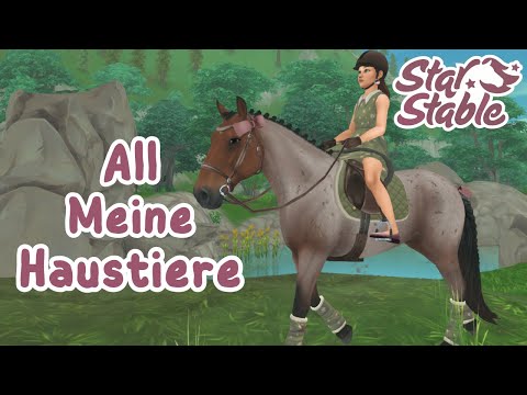 All meine 117 Haustiere 🐰🐶🐱 | SSO | Ich zeige euch meine Pets