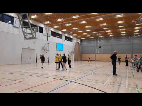 Lieto Koris - Feeniks