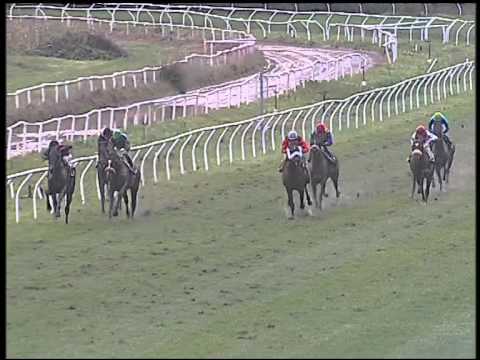 Galoppo 06/02/2015 - 3° corsa