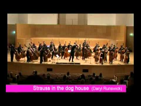 Orquesta de Contrabajos del CSMA. Parte 5/8. Strauss in the doghouse (D. Runswick)