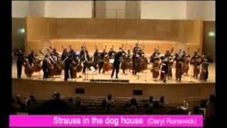 Orquesta de Contrabajos del CSMA. Parte 5/8. Strauss in the doghouse (D. Runswick)