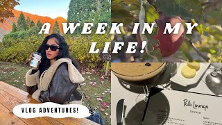 WEEKLY VLOG! FUN FALL ACTIVITIES!