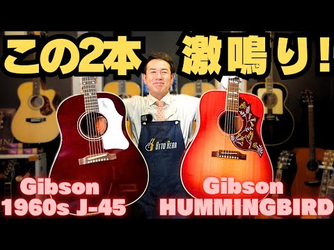 【徹底比較】GIBSON人気モデル！どちらがお好みですか？Gibson 1960s J-45（2022年） / Hummingbird（2020年）（完全予約制 名古屋アコギ専門店 オットリーヤ）