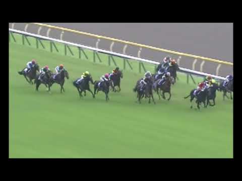 ジュールポレール【 ヴィクトリアマイル】ハナ差激戦を制す