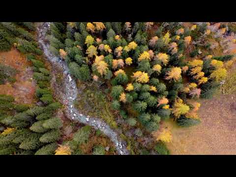 WILD VALSESIA ALAGNA  with Mavic Mini FOOTAGE FULL HD