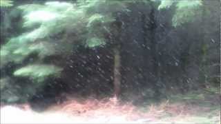 SNOW by Jesse Winchester