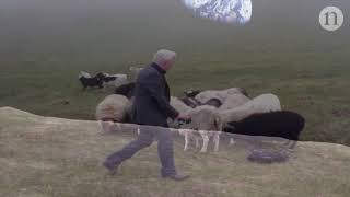 Psalm 23 (Bobby McFerrin)