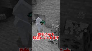 【マイクラ】有能なゴーレムを追加するアドオン【統合版】