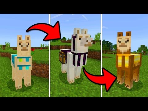 FuzionDroid - MCPE 1.1 UPDATE!!! - How to Tame & Decorate a Llama - (Pocket Edition)
