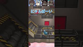 くっくどぅどぅどぅ！！！