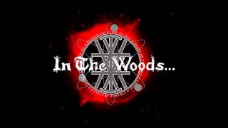 preview picture of video 'IN THE WOODS... STRANGE IN STEREO (1999 Full Album) official upload-'