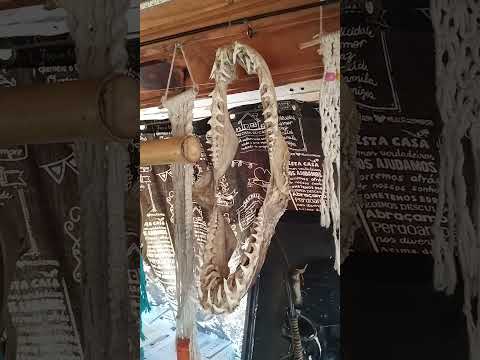 18/11/25, Histórias de Amelinha,Juti, MS.#turismo #viagem #matogrossodosul #juti