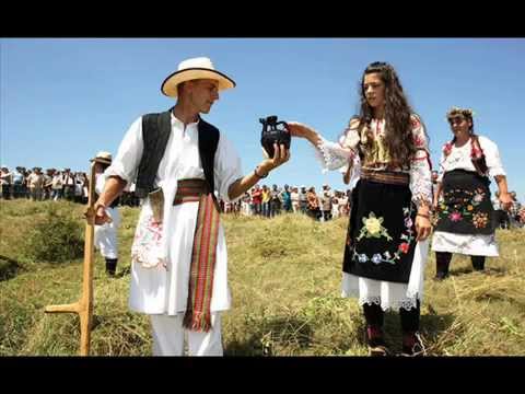 Dobrivoje Topalovic   Kosio sam livadu kraj puta