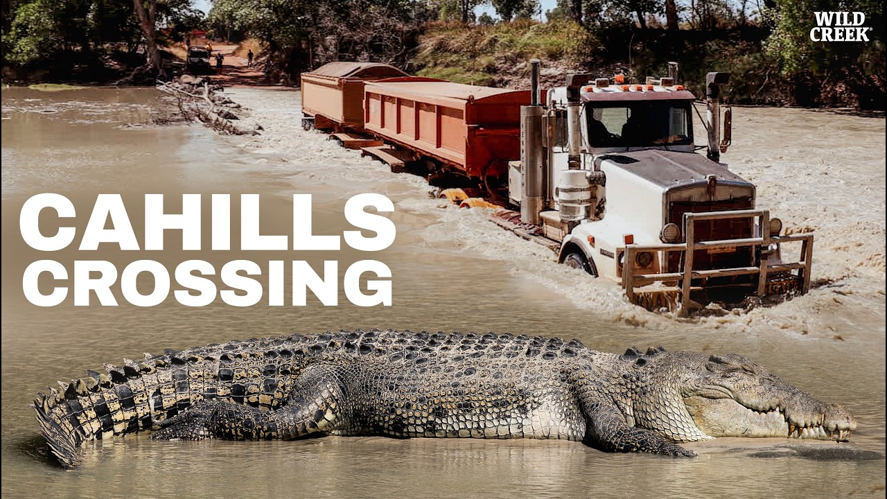 Some of the most capitvating Aussie documentary work I've ever seen