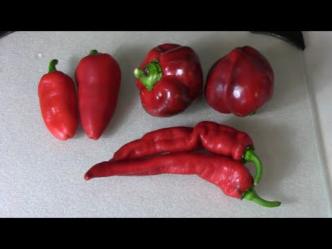 Comparing and Ranking Lesya, Lipstick, and Jimmy Nardello Sweet Peppers