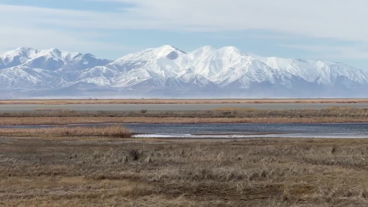 University of Utah scientists have made a discovery that could help battle Great Salt Lake dust
