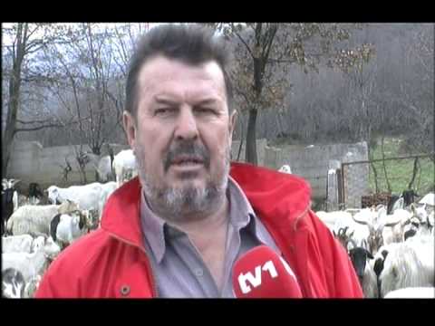 Farma "EKO KOZA", Vrapčići Mostar - HABER.ba