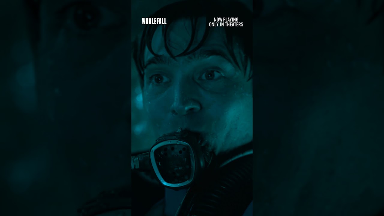 Video náhled