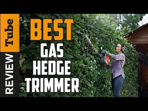 image-What is a gas hedge?