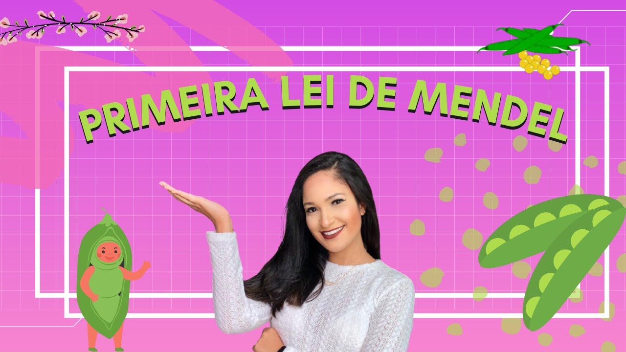PRIMEIRA LEI DE MENDEL (MONOIBRIDISMO) - hereditariedade | Thaís Magalhães