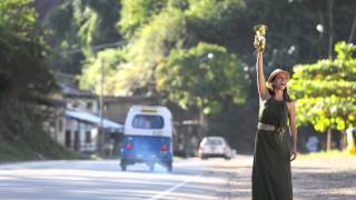 Bloom Carolina Araoz