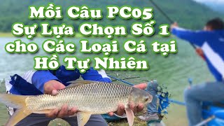 Mồi câu PC05: Sự lựa chọn số 1 cho các loại cá tại hồ tự nhiên