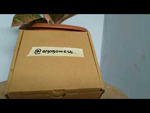 FreeHub Shimano Exage Fh-HG50 (Freehub Vintage)