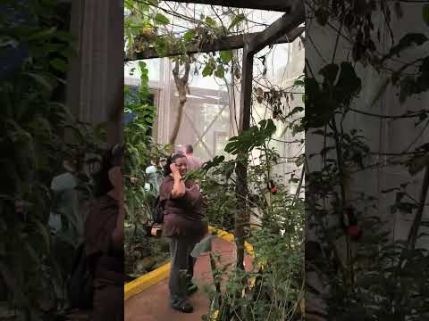 Cruz de Santa Ana.. Misiones..Mariposario!!!