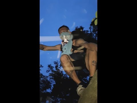 zdechly osa - piorun97