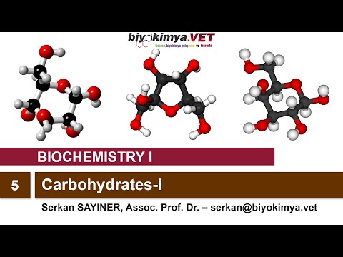 BIOCHEMISTRY-I | Topic 5: Carbohydrates-I