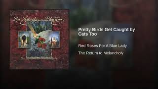 Pretty Birds Get Caught by Cats Too