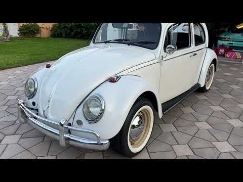 1965 Volkswagen Beetle (CC-1830471) for sale in Miami, Florida