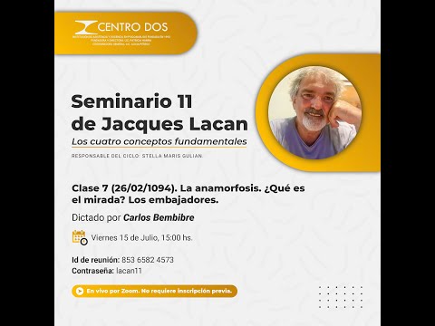 Seminario 11 de Jacques Lacan - Carlos Bembibre: Clase 7 (26/02/1094).